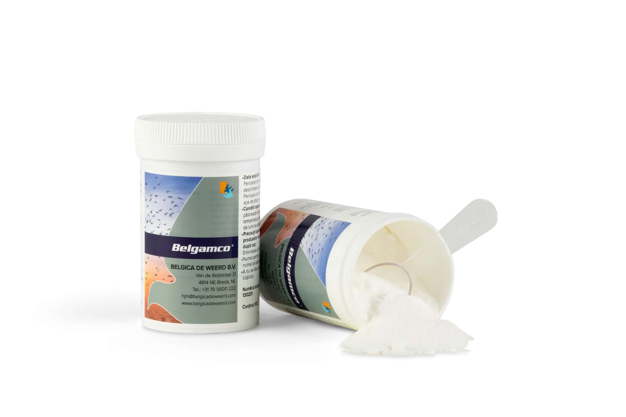 Belgamco – Obrázok 3