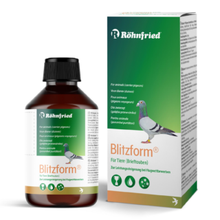 Blitzform