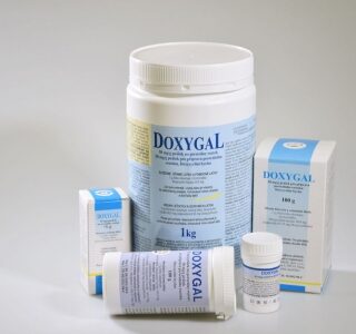 Doxygal