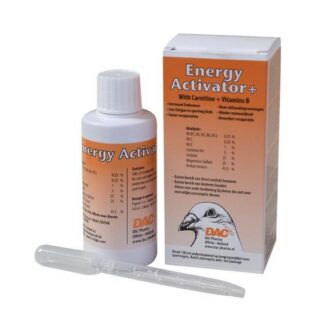 Energy activator