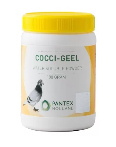 COCCI GEEL
