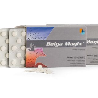 Belga Magix